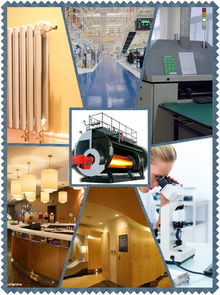 山東廠家長期供應進口燃燒器及2噸燃氣蒸汽鍋爐，提供全面技術咨詢