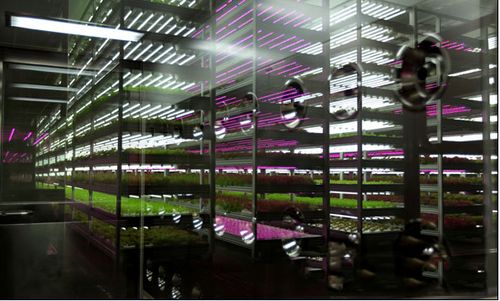 科技賦能，綠色未來 2018中國國際植物工廠及農業照明博覽會即將在滬開幕